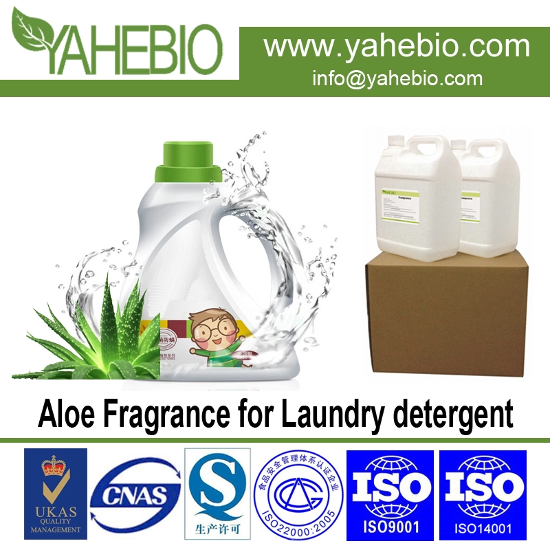 Aloe fragrance for laundry detergent
