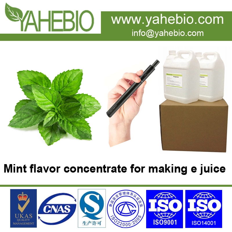Mint menthol e flavor concentrate for making e cig liquid Guangzhou flavor concentrate supplier