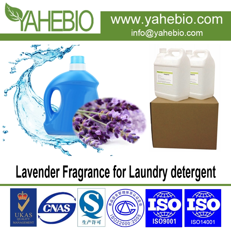 Lavender fragrance for laundry detergent