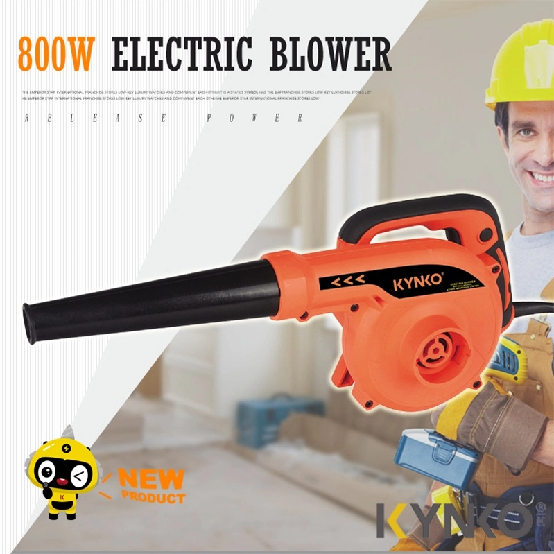 800W Powerful Professional Electric Blower