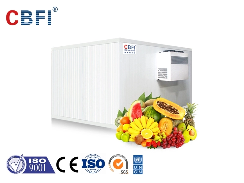 CBFI Cold Storage Room For Fruit And Vegetable