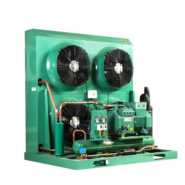 4HE-18Y R404 Refrigeration Open Type Condensing Unit