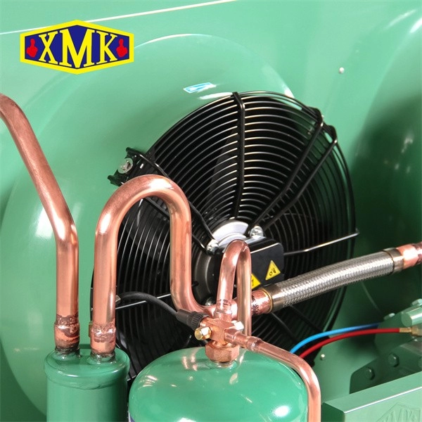 4TES-9Y Air Cooled Condensing Unit Bitzer Compressor
