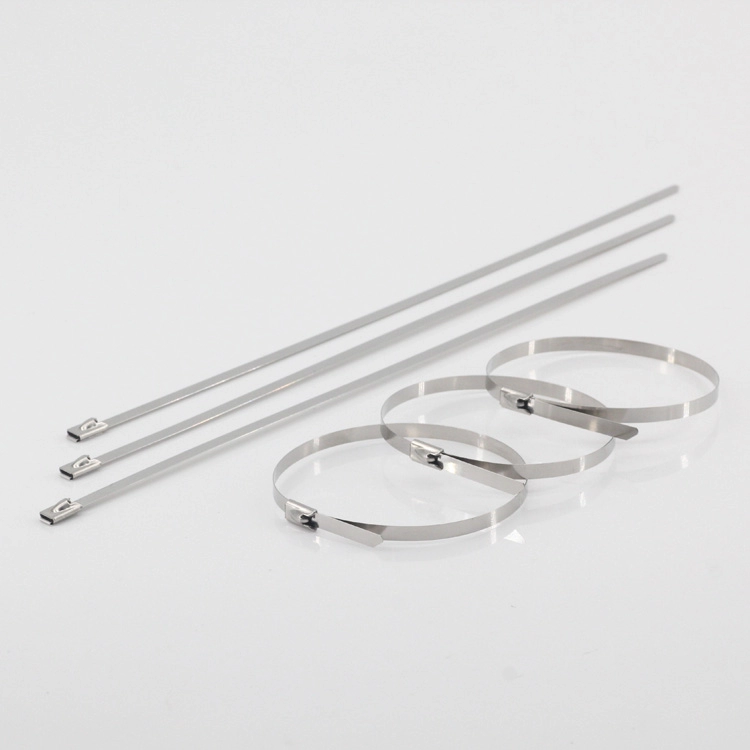 Self Locking 304 Stainless Steel Cable Ties