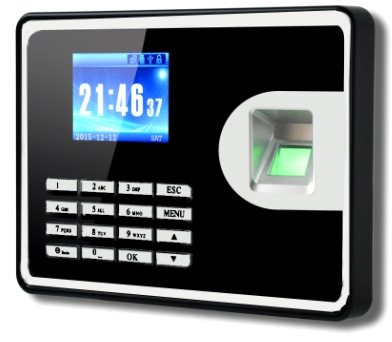 Web Server Thumbprint Time Attendance System from Chinese Manufacturer