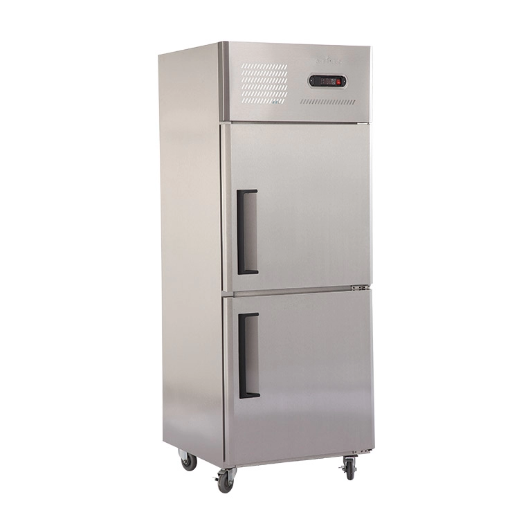 0.8LG 2-Door Commercial Refrigerator