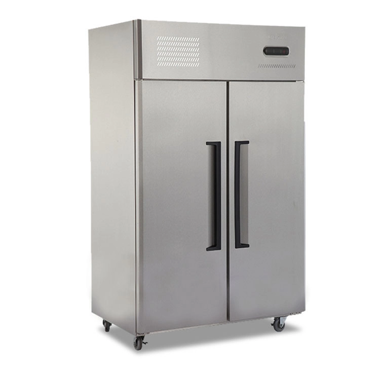 1.0LG 2 Door Commercial Freezer