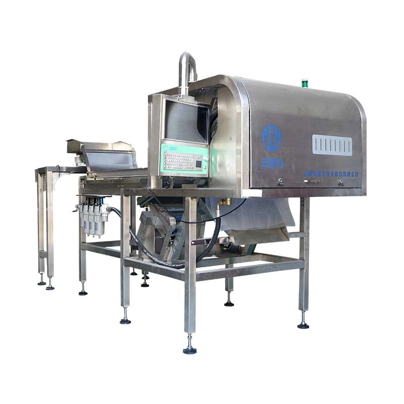 Customized Color Sorter for Special Application