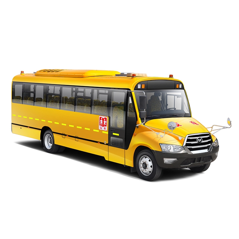Ankai 10M 24-56 seats school bus