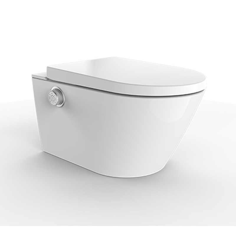 Intelligent shower toilet installation with white Cabinet cistern