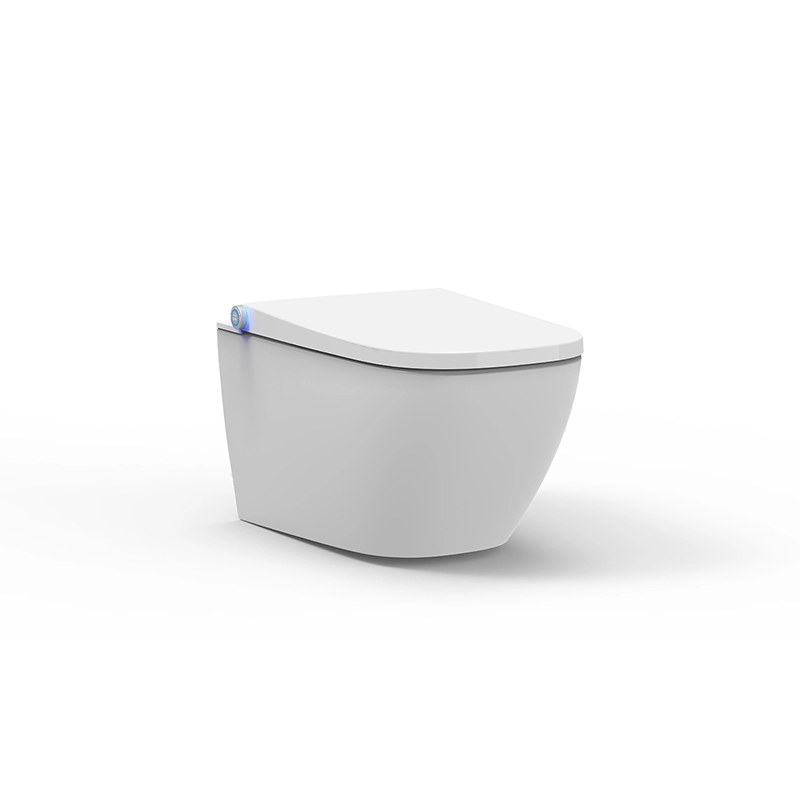 Square Shape shower Toilet Intelligent bidet seat