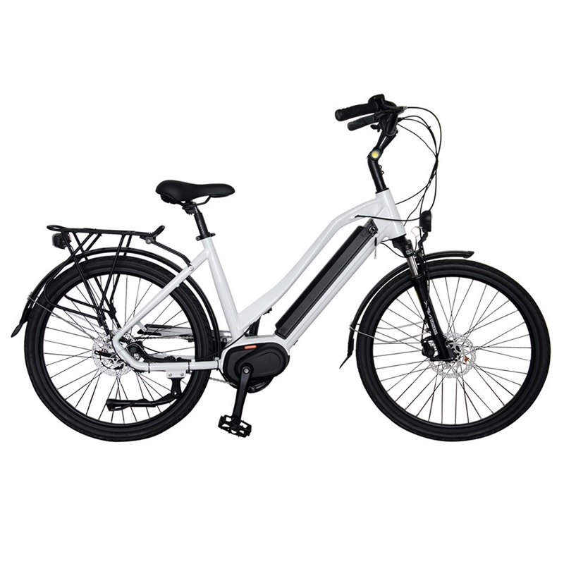 Hot selling fashion 36v 350w bicycle electric 48v with high quality brushless hub motor 20 inch ebike fat tire