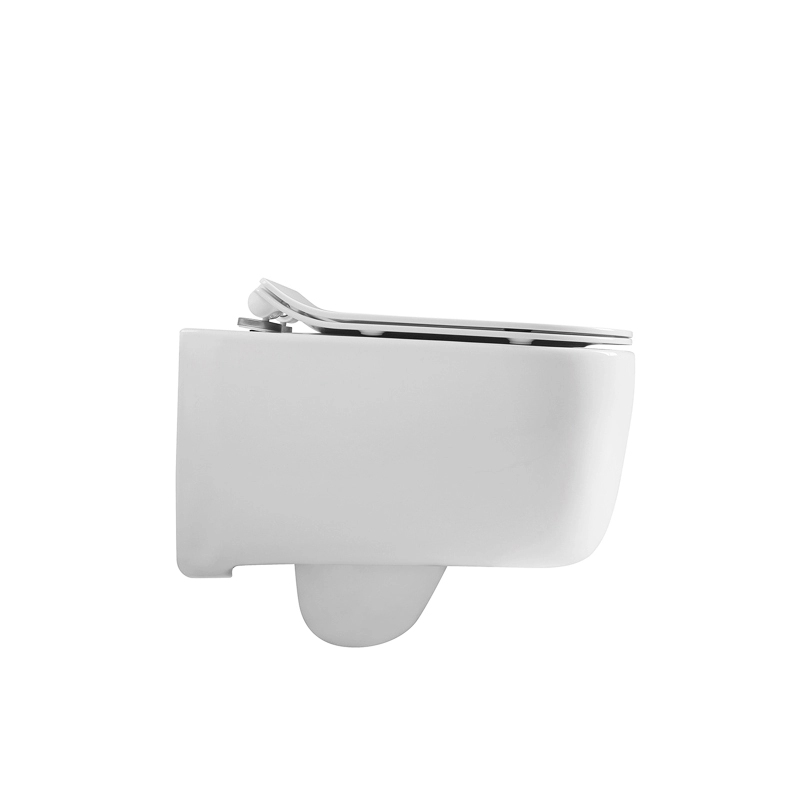 Modern Design D Shape White Wall Mounted Toilet