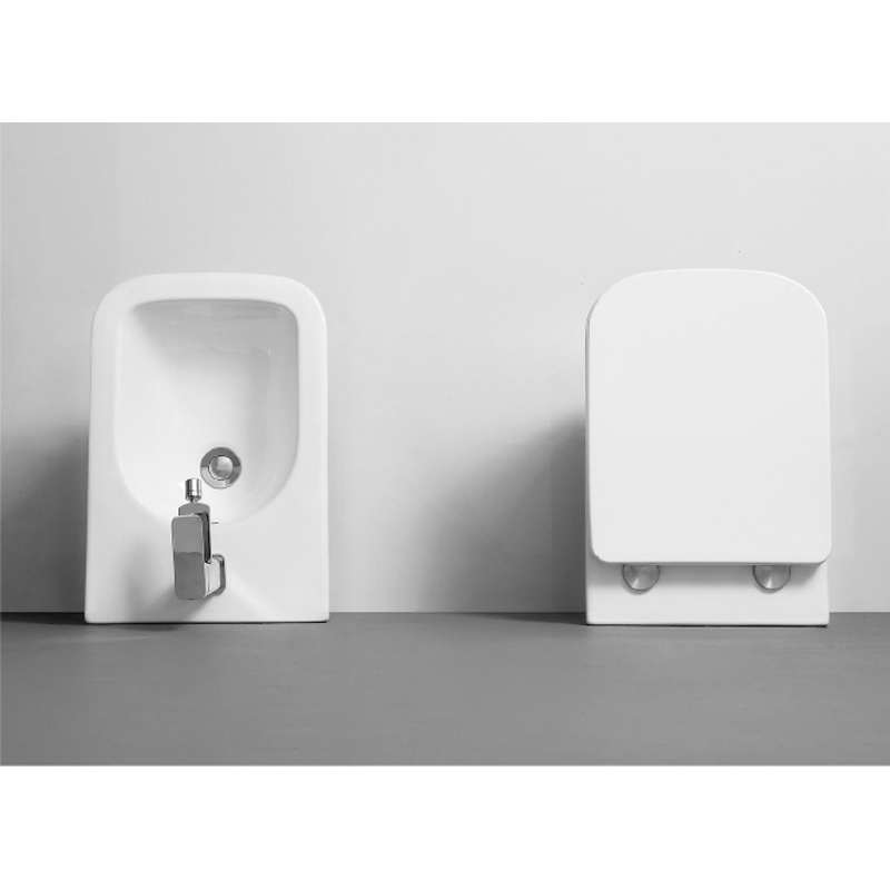 wall_mounted_white_ceramic_toilet_Wand-Hänge_WC_set_Hangtoilet-set_NEUNAS_T316SET2