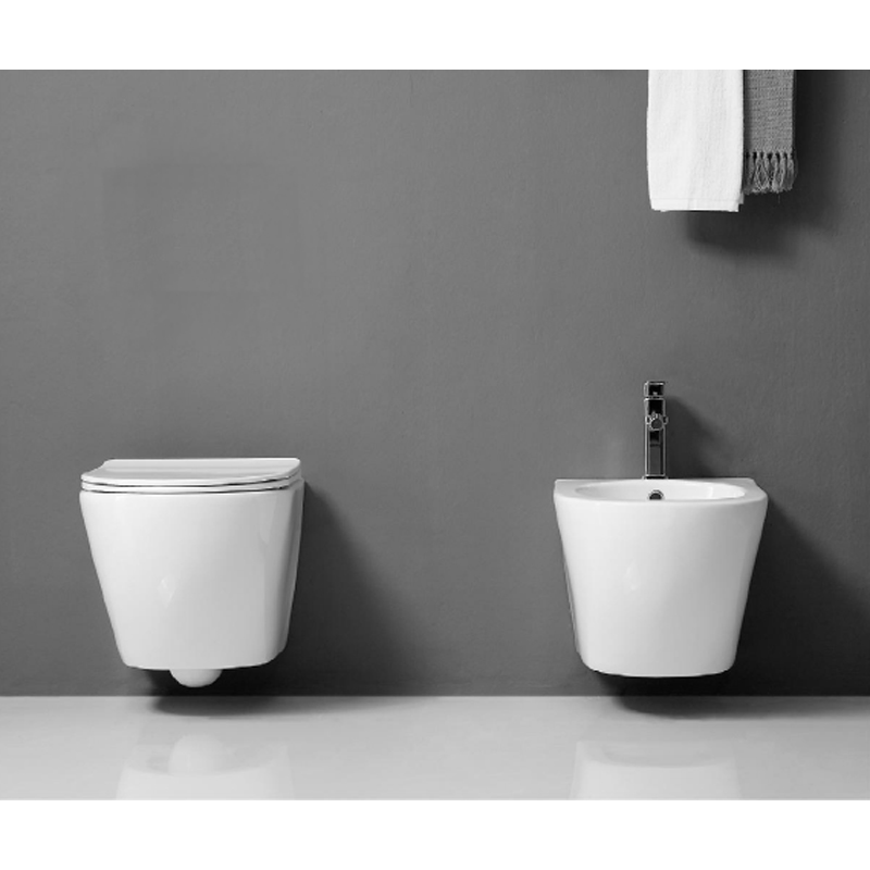 wall_mounted_white_ceramic_toilet_Wand-Hänge_WC_set_Hangtoilet-set_NEUNAS_T314SET