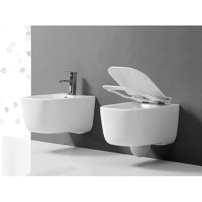 wall_mounted_white_ceramic_toilet_Wand-Hänge_WC_set_Hangtoilet-set_NEUNAS_T313SET