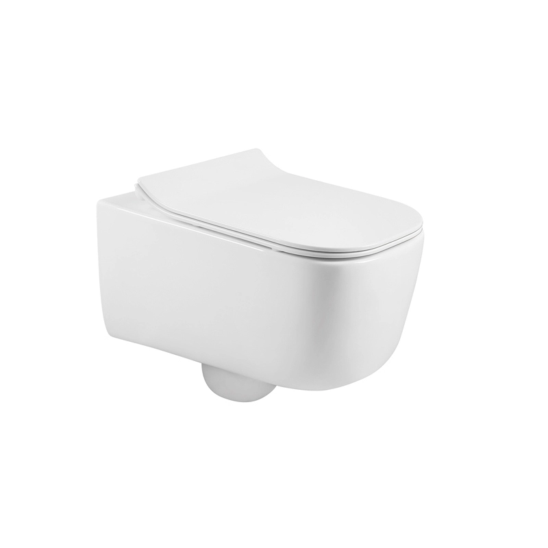 Modern Design D Shape White Wall Mounted Toilet