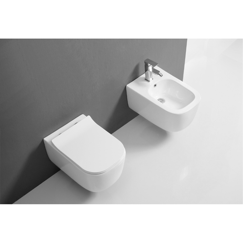 wall_mounted_white_ceramic_toilet_Wand-Hänge_WC_set_Hangtoilet-set_NEUNAS_T313SET