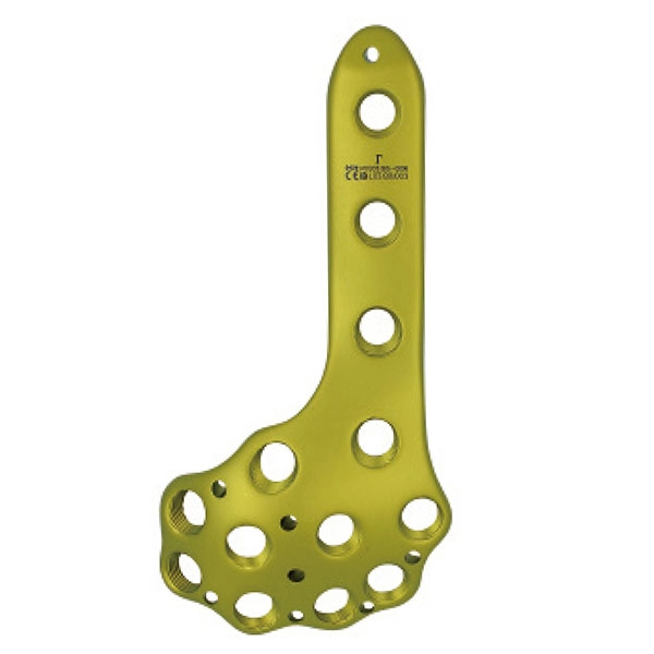 Distal Lateral Femoral Condylar Locking Plate