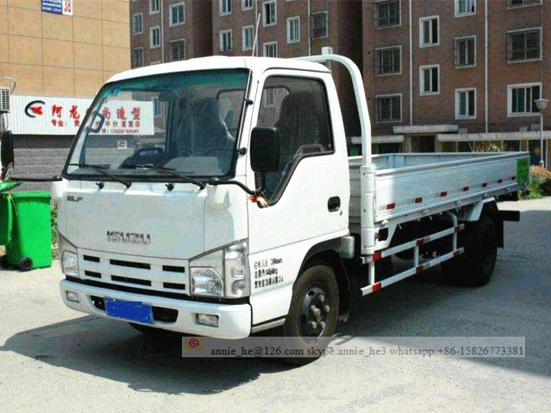 3T Dump Truck Isuzu