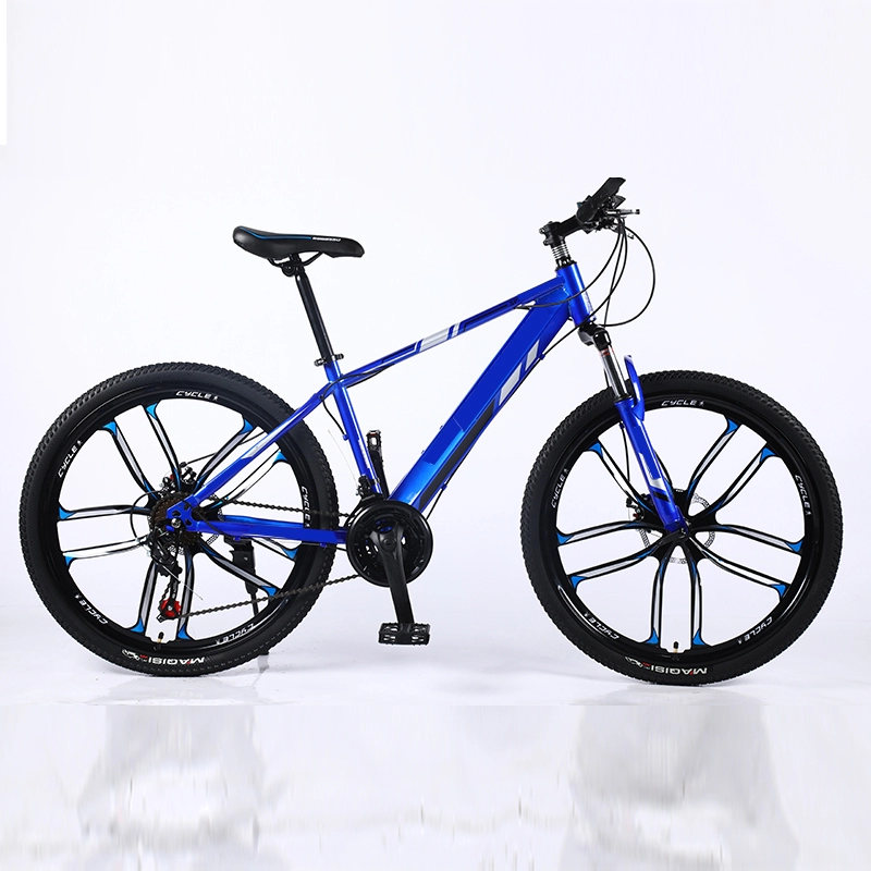 Hot Sale Customized Full Suspension 21 Speed Bike Mountain Bicycle