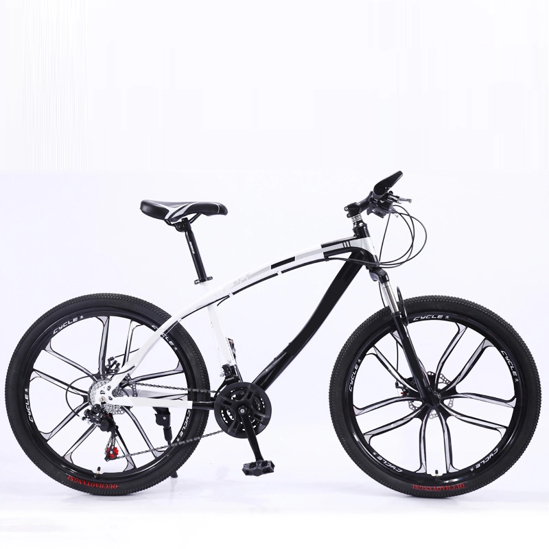 Customized Multi-speed 26inch Full Suspension Mtb Mountain Bicycle