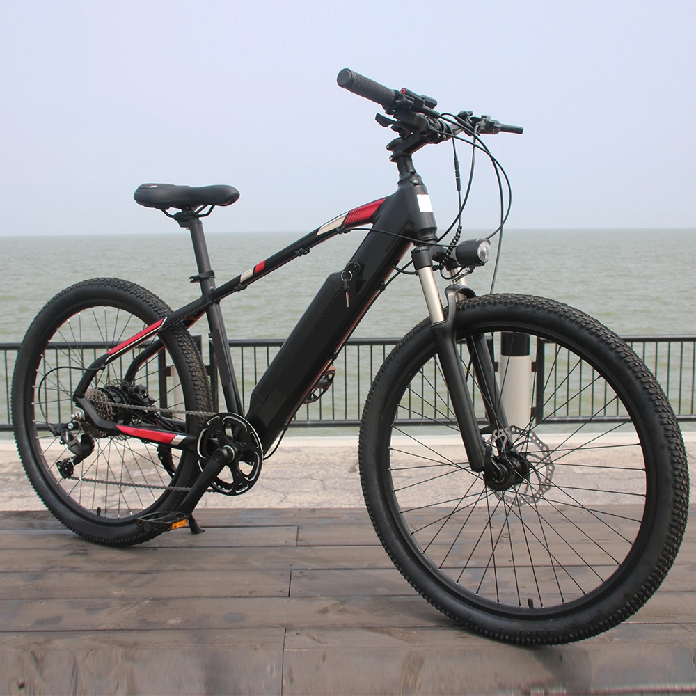 36V 48V 250W pedal assist e power battery cycle man 350W electric bicycle 750W adults ebike best electric mountain bike for sale