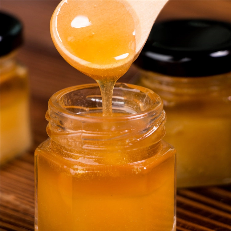 Pure Rapeseed Honey HALAL HACCP Certified Wholesale