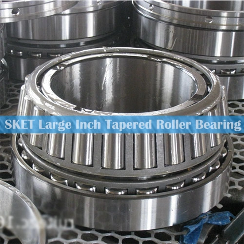 HM231140/HM231116D Large Size Inch Tapered Roller Bearing