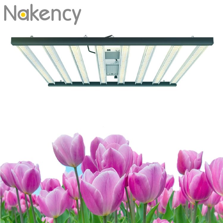 600w LED full spectrum plant growth light for vegetable cultivation in greenhouses