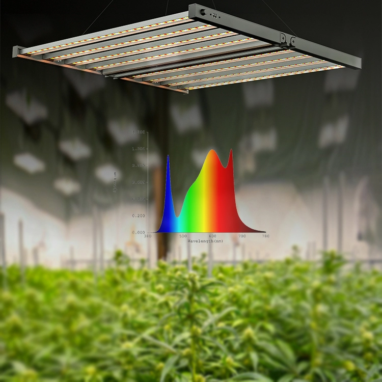 800w cannabiss growing indoor plants led grow light