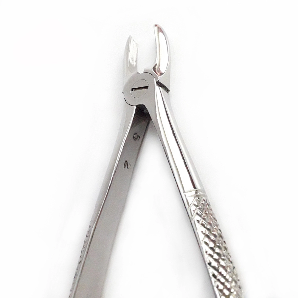 Surgical Medical Plastic Surgical Different Types Dental Forceps