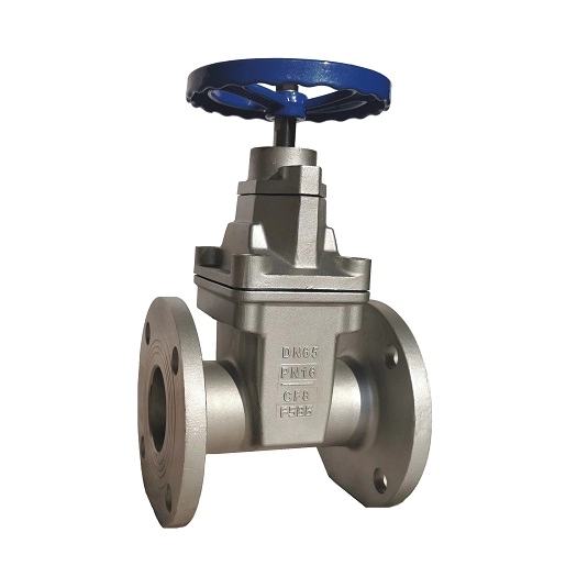Stainless steel resilient Gate Valve