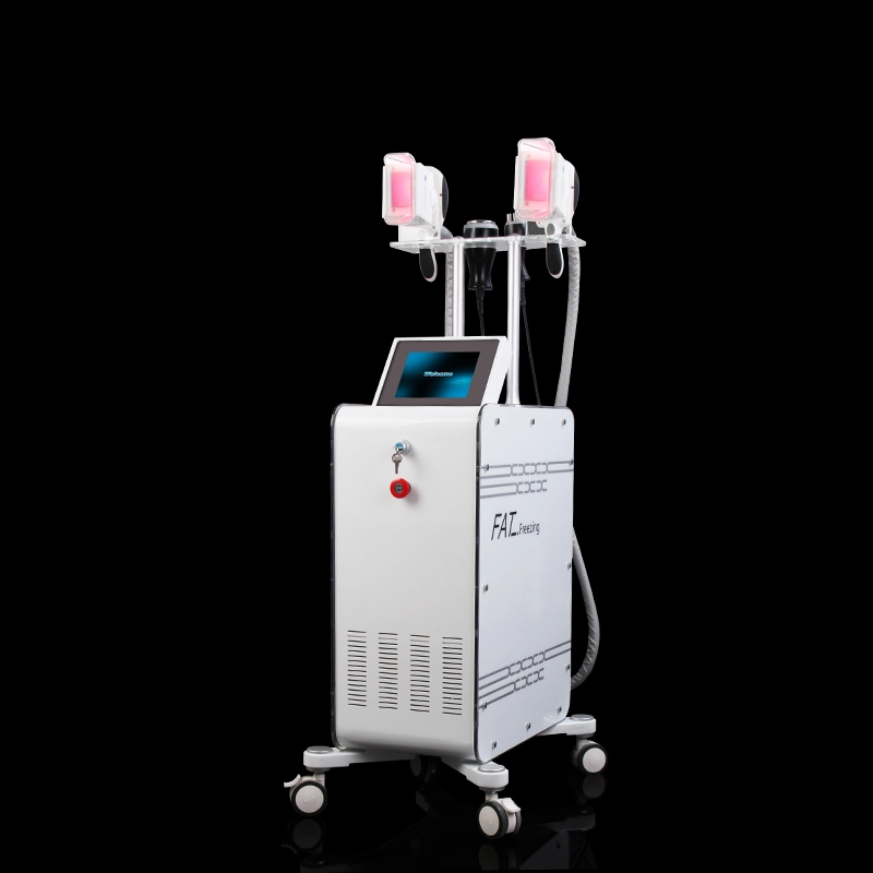 Big Discount Cheap Price Cryolipolysis Cyro / Cryo Machine Fat Loss Beauty Therapy Without Side Effects