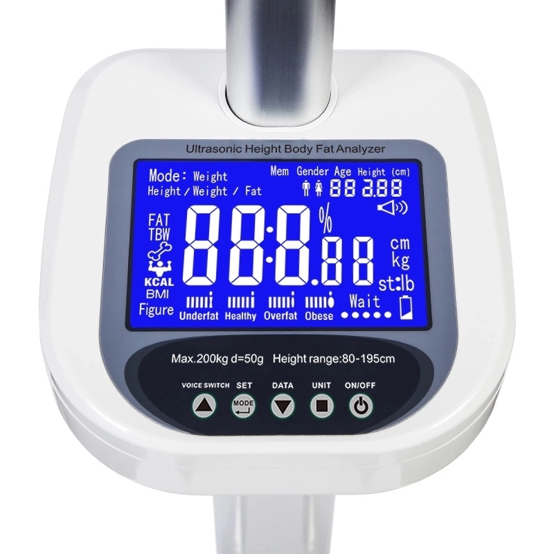 Ultrasonic Body Fat Analyzer Scale With Heighting
