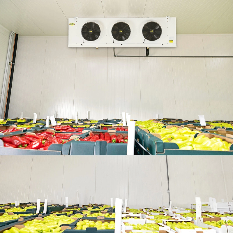 Vegetables Fruits cold storage Evaporator Unit cooler 9.18KW