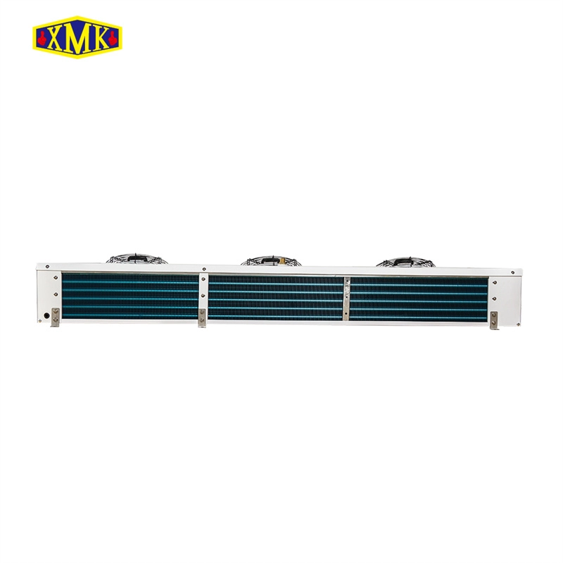 Cold storage refrigeration part CA compact air cooler