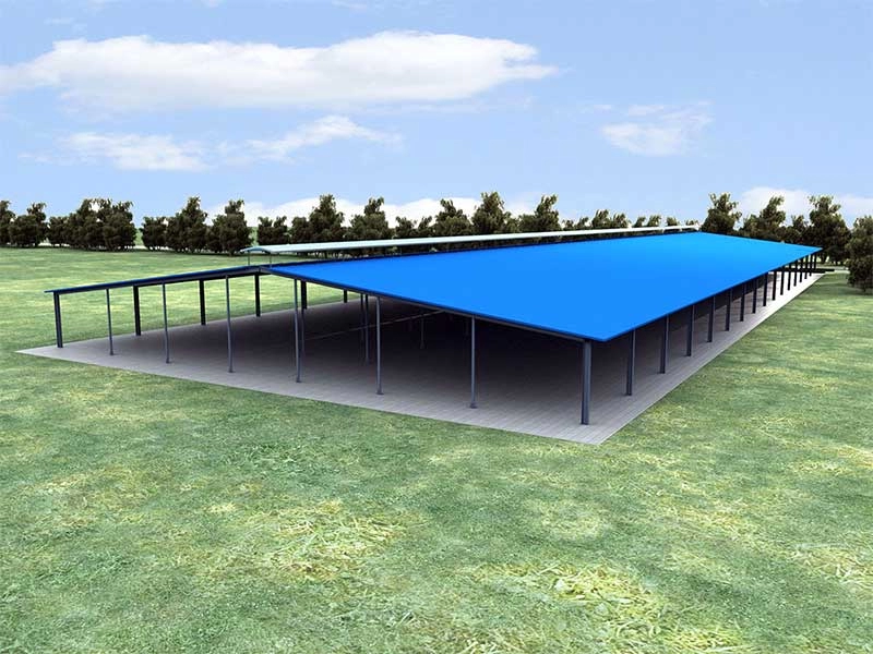H beam steel structural cow farm building