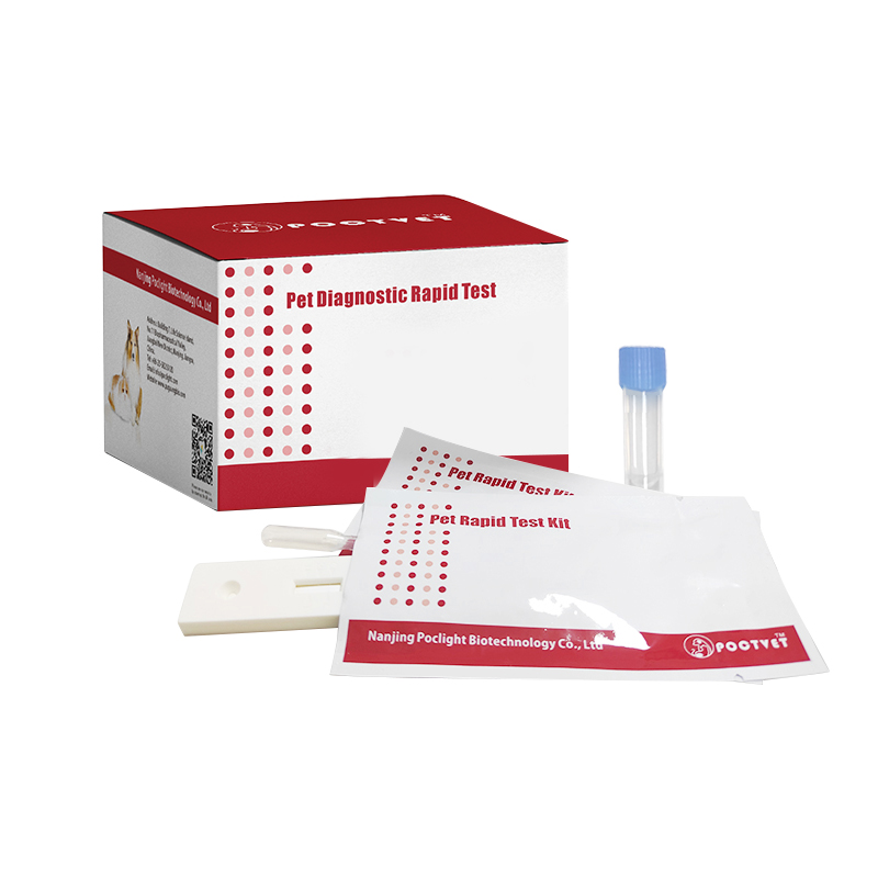 Canine Early Pregnancy Relaxin Rapid Test Kit