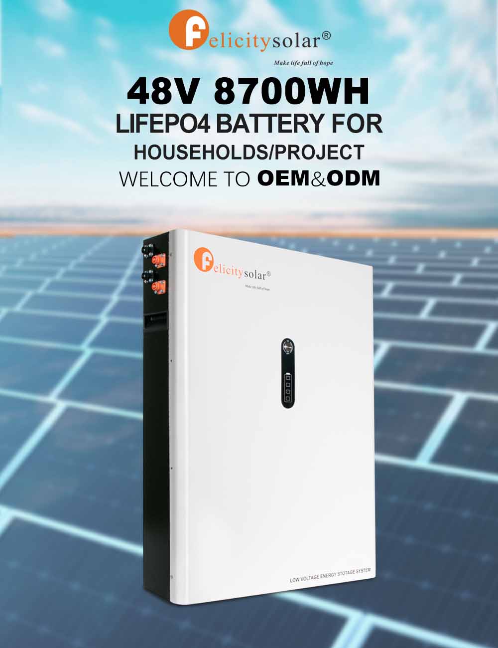 8.7KWH Lithium LiFePo4 Battery With BMS