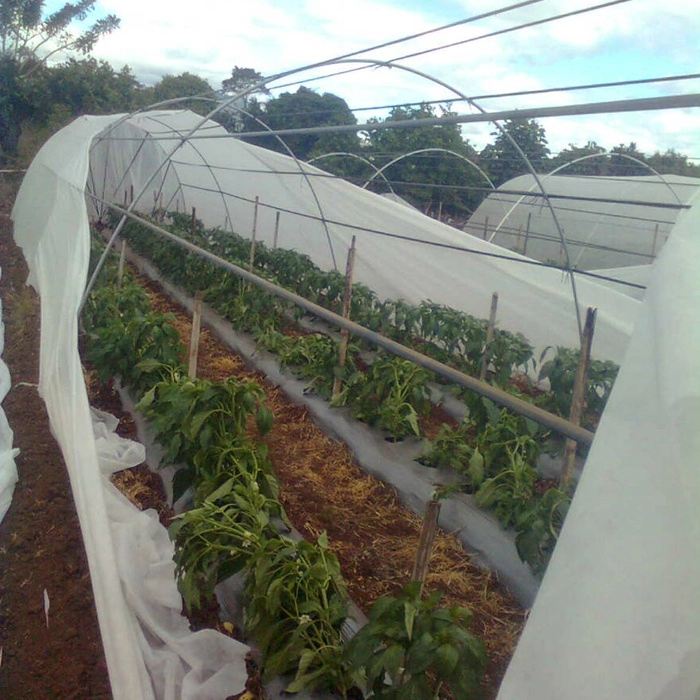PP Nonwoven Fabric Agriculture