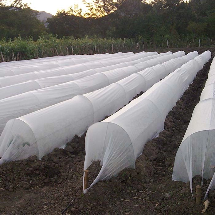 Agriculture PP Nonwoven Fabric