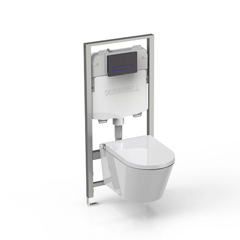 Smart Toilet with Concealed Cistern Flush Frame