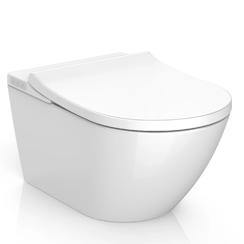 OEM Intelligent shower bidet Toilet seat Big wash volume Bidet Dusch WC