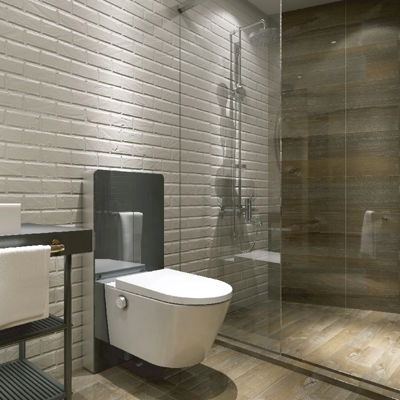Dusch WC Smart shower bidet Cabinet cistern bidet