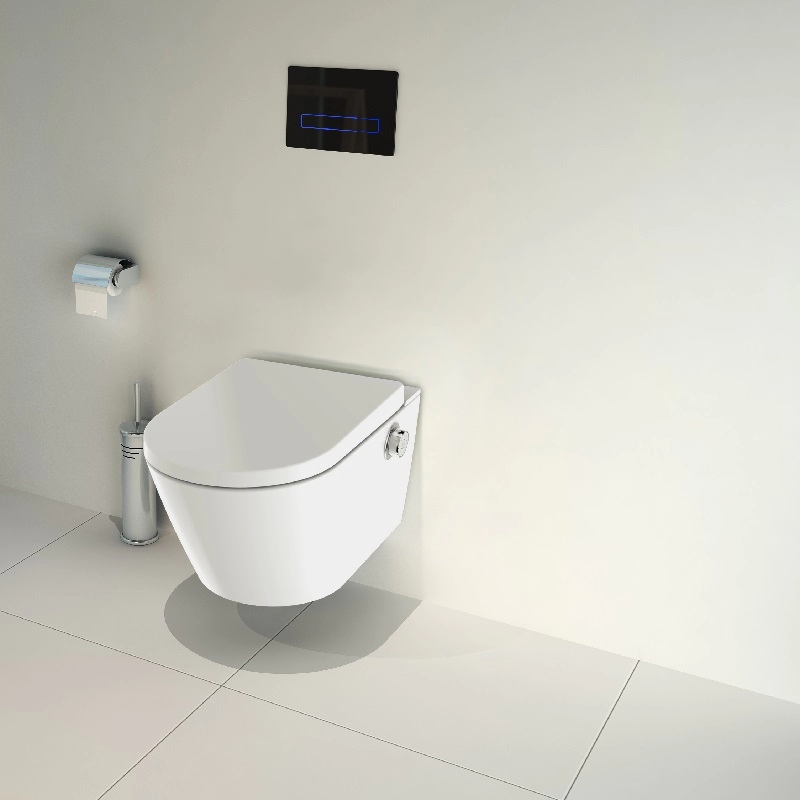 Electronic smart bidet seat  China bidet shower bidet toilet