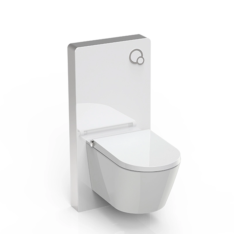 Wall Hung Toilet Frame black white glass cistern Wholesale Manufacturer