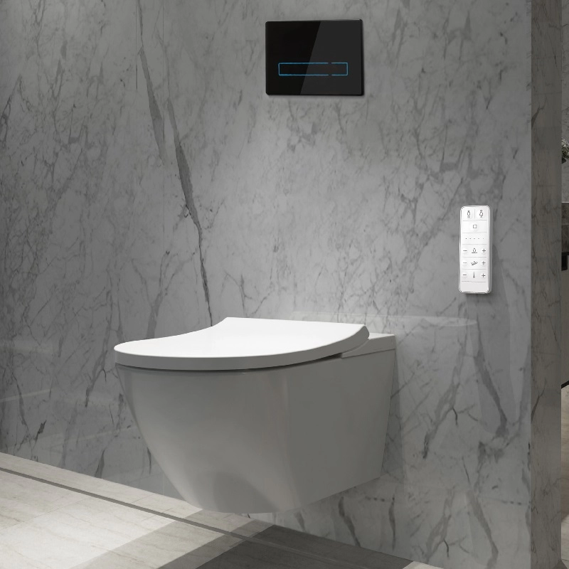 OEM Intelligent shower bidet Toilet seat Big wash volume Bidet Dusch WC