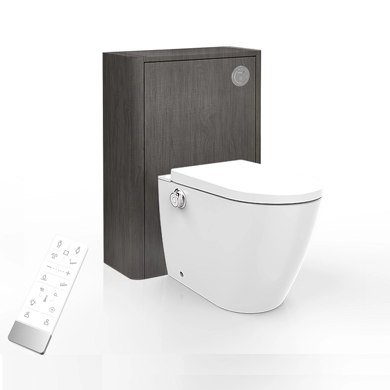 A multifunctional smart toilet for your health and bathroom needs
