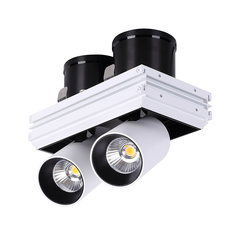 Trimless Led Downlights Rectangle Adjustable Double Head For Commercial Lighting